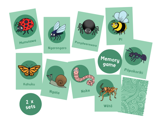 Ngā Ngārara o Aotearoa / Insects - Matching Game