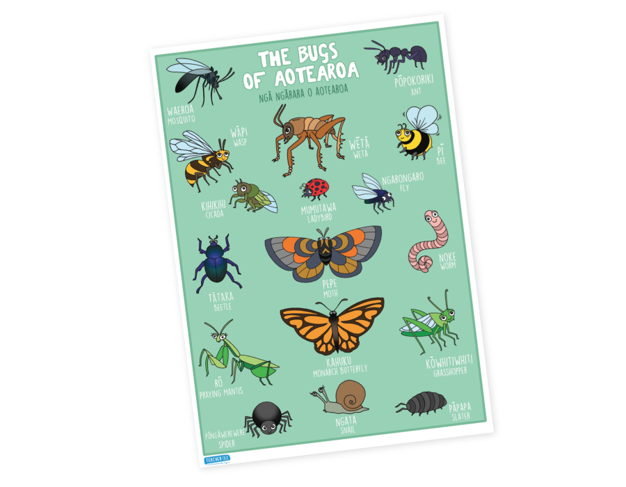 Ngā Ngārara / Insects - A3 Poster