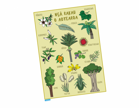 Ngā Rākau o Aotearoa / Trees - A3 Poster