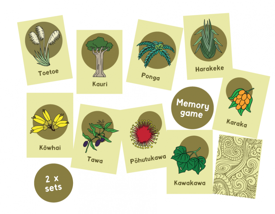 Native Plants of Aotearoa Matching Game
