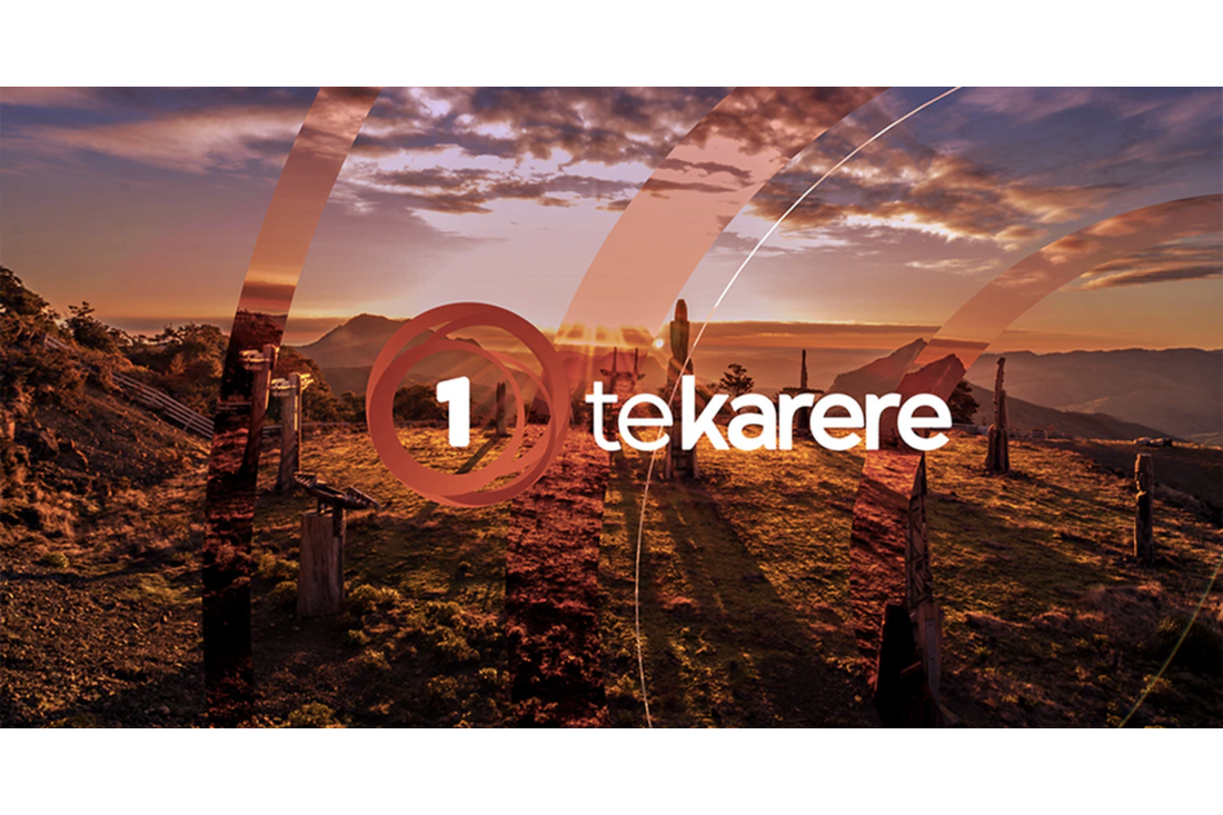 TVNZ+ Te Karere: New board game fosters a new, bilingual Aotearoa