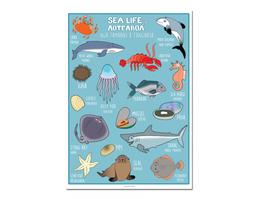 Ngā Tamariki a Tangaroa / Sea life - A3 Poster